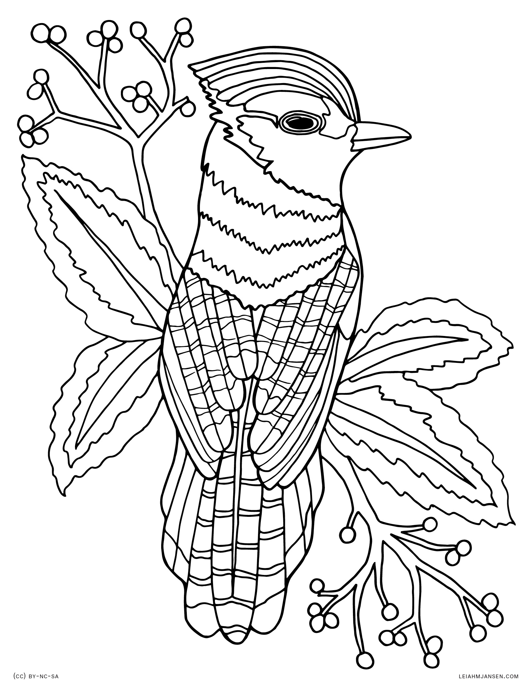 Coloring Pages