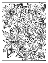 Pointsettia Flowers - Happy Holidays - Free Printable Coloring Page for Adults and Kids, by leiahmjansen.com @oleiah