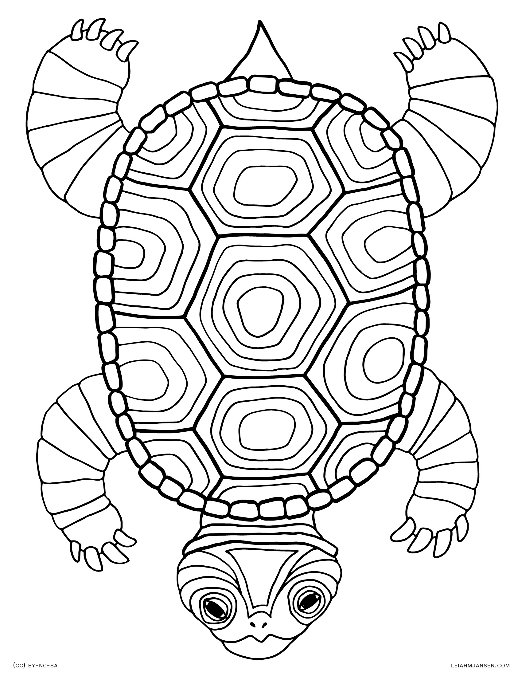 Coloring Pages Of Turtles 7