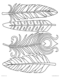 Boho Feathers - Bird Feather Types - Free Printable Coloring Page for Adults and Kids, by leiahmjansen.com @oleiah