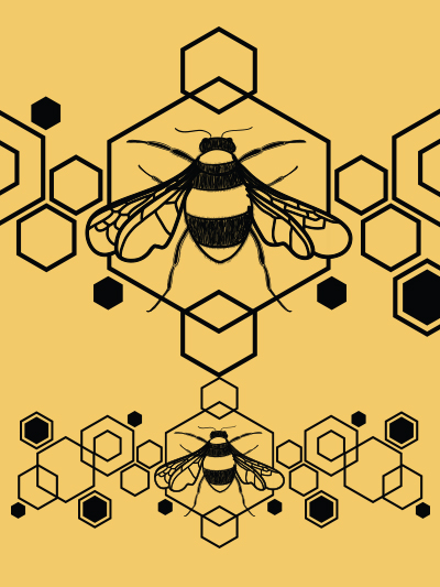 honeycomb bee