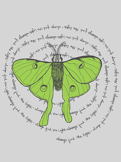 luna moth