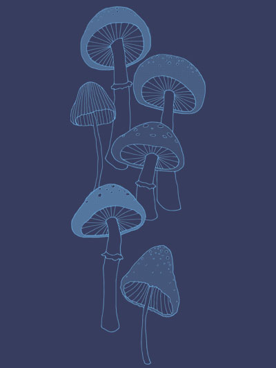 mushrooms